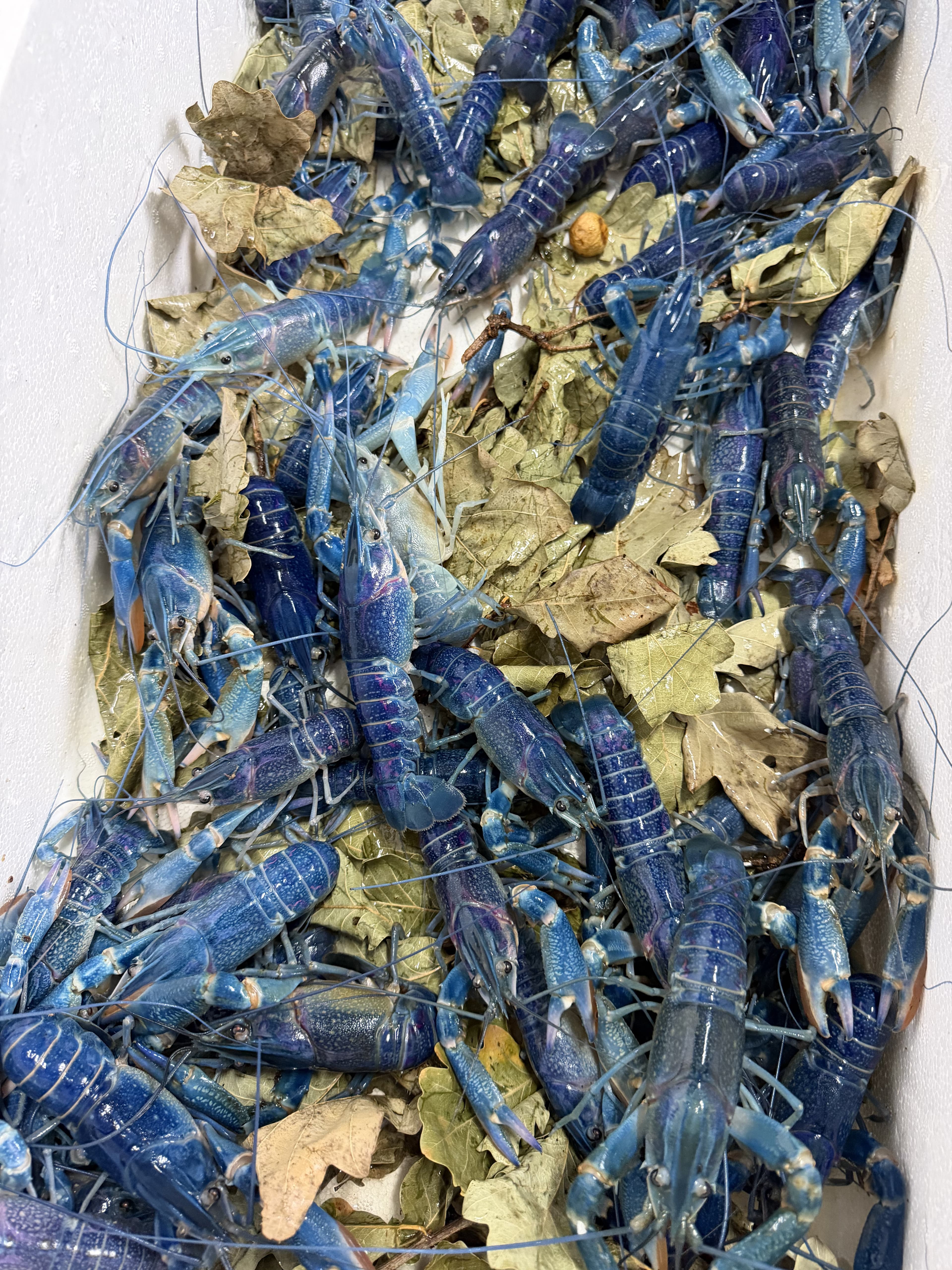 Гарантований викуп продукції 3