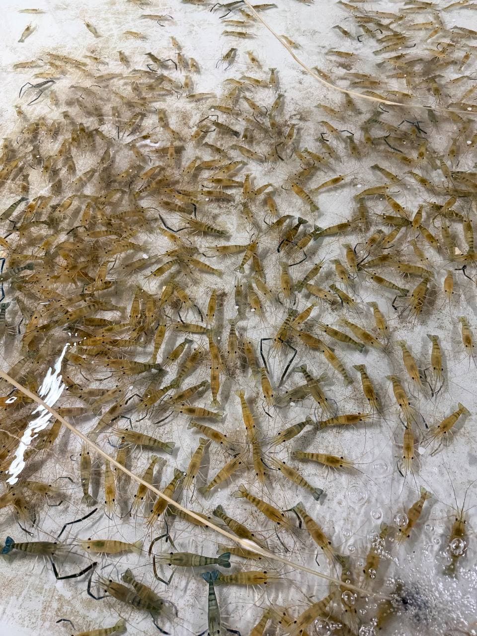 Гарантований викуп продукції 11